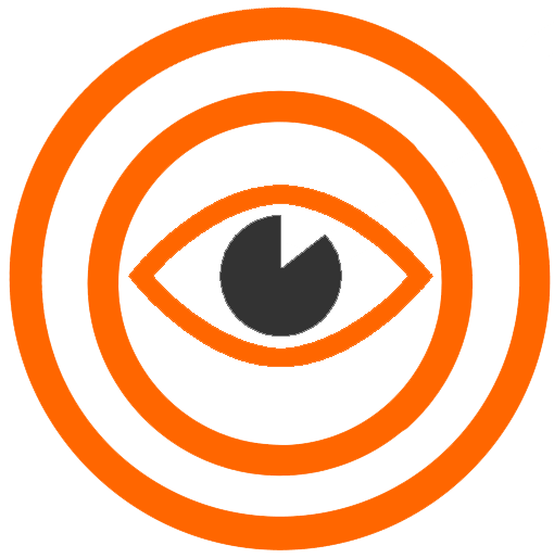 Vision